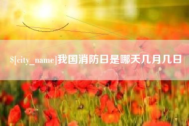 巨野我国消防日是哪天几月几日