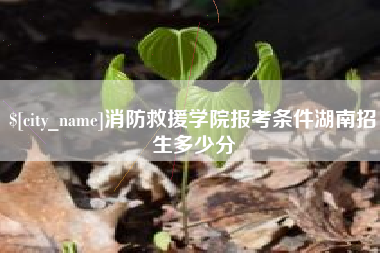 巨野消防救援学院报考条件湖南招生多少分