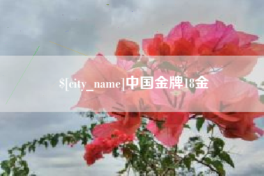 巨野中国金牌18金