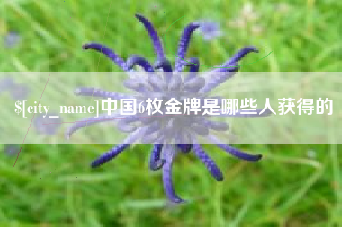 巨野中国6枚金牌是哪些人获得的