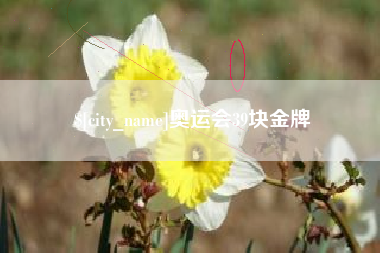 巨野奥运会39块金牌