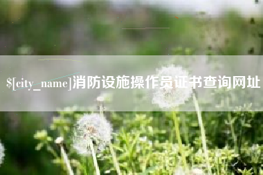 巨野消防设施操作员证书查询网址