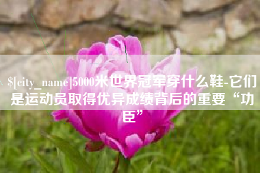巨野5000米世界冠军穿什么鞋-它们是运动员取得优异成绩背后的重要“功臣”