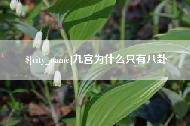 巨野九宫为什么只有八卦