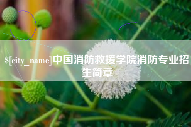 巨野中国消防救援学院消防专业招生简章