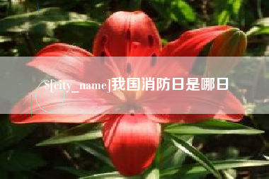 巨野我国消防日是哪日