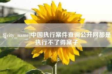巨野中国执行案件查询公开网都是执行不了得案子