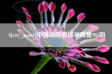 巨野中国消防救援学院是985吗