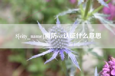 巨野消防ccc认证什么意思