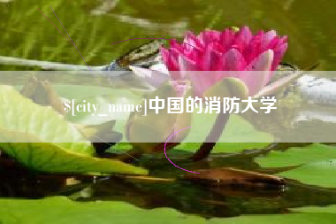 巨野中国的消防大学