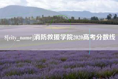 巨野消防救援学院2020高考分数线