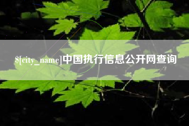 巨野中国执行信息公开网查询