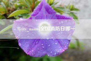 巨野全国消防日哪一