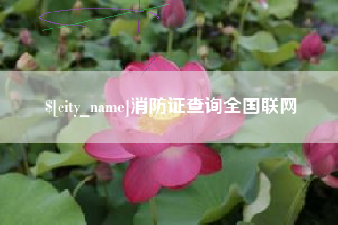 巨野消防证查询全国联网