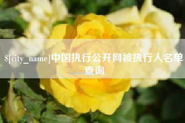 巨野中国执行公开网被执行人名单查询