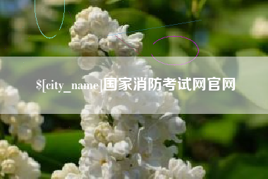 巨野国家消防考试网官网