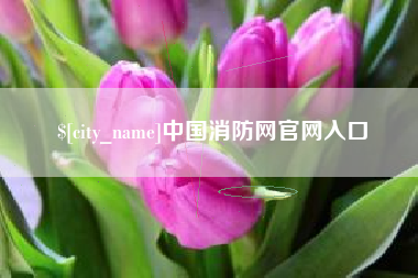 巨野中国消防网官网入口