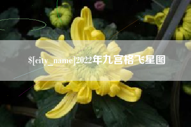 巨野2022年九宫格飞星图
