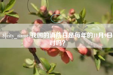 巨野我国的消防日是每年的11月9日对吗？