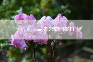 巨野九宫如何排日