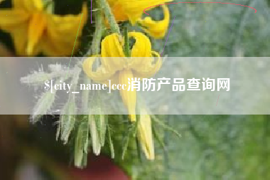巨野ccc消防产品查询网