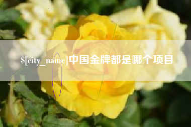 巨野中国金牌都是哪个项目