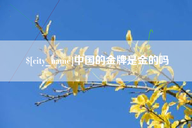 巨野中国的金牌是金的吗