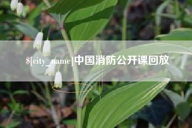 巨野中国消防公开课回放
