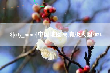 巨野中国地图高清版大图2024