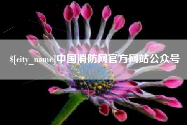 巨野中国消防网官方网站公众号