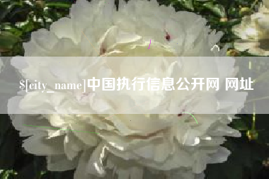 巨野中国执行信息公开网 网址