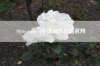 巨野中国消防产品官网