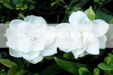 巨野中国的几块金牌2021