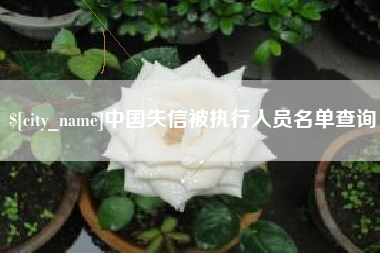 巨野中国失信被执行人员名单查询