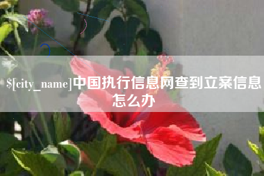 巨野中国执行信息网查到立案信息怎么办