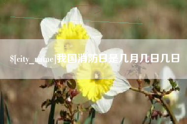 巨野我国消防日是几月几日几日