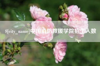 巨野中国消防救援学院招生人数