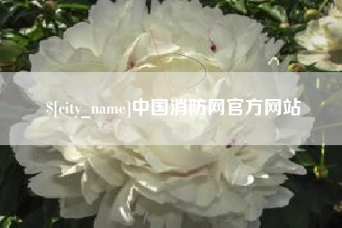 巨野中国消防网官方网站