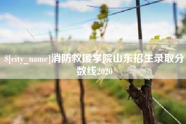 巨野消防救援学院山东招生录取分数线2020