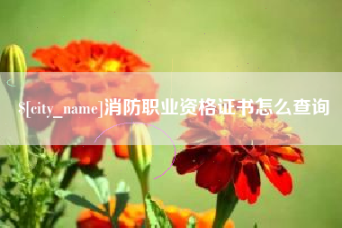 巨野消防职业资格证书怎么查询