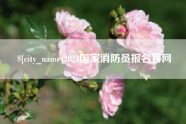 巨野2021国家消防员报名官网