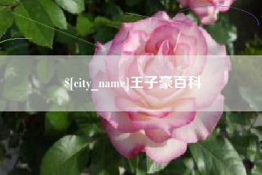 巨野王子豪百科
