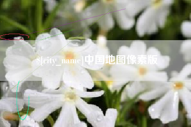 巨野中国地图像素版