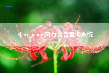 巨野执行公告查询系统
