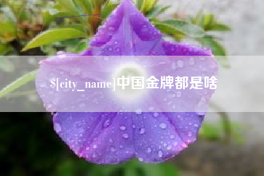 巨野中国金牌都是啥