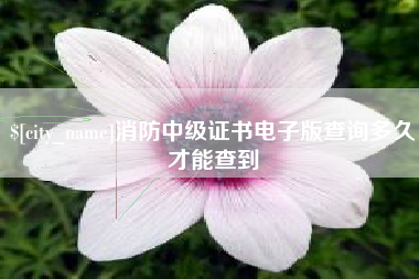 巨野消防中级证书电子版查询多久才能查到