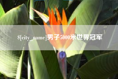 巨野男子5000米世界冠军