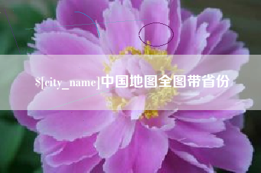 巨野中国地图全图带省份