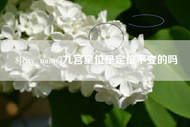 巨野九宫星位是定位不变的吗
