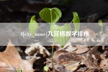 巨野九宫格数字排序